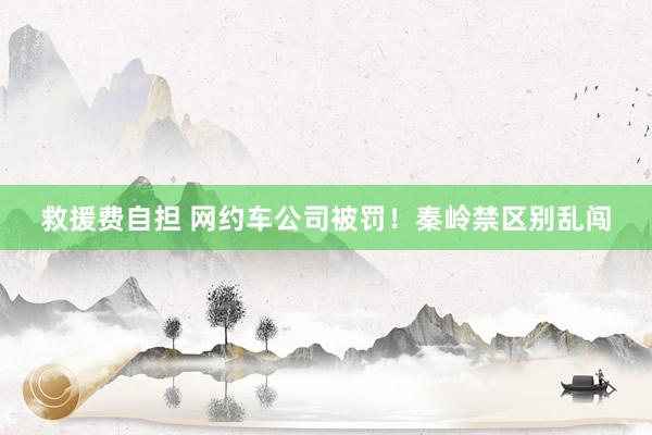 救援费自担 网约车公司被罚！秦岭禁区别乱闯