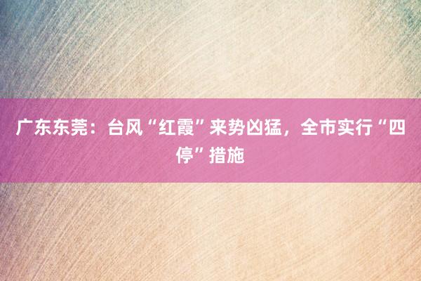 广东东莞：台风“红霞”来势凶猛，全市实行“四停”措施