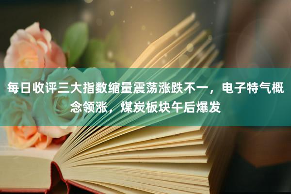 每日收评三大指数缩量震荡涨跌不一，电子特气概念领涨，煤炭板块午后爆发