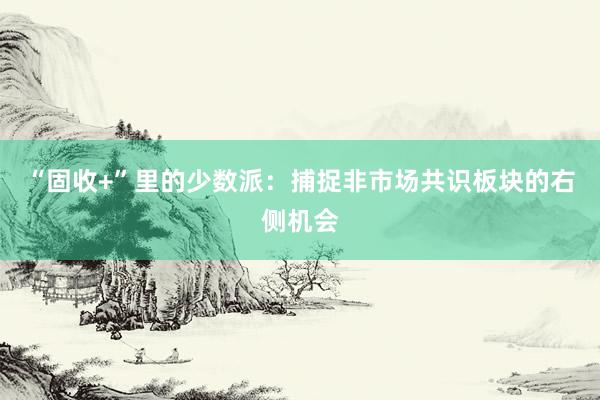 “固收+”里的少数派：捕捉非市场共识板块的右侧机会
