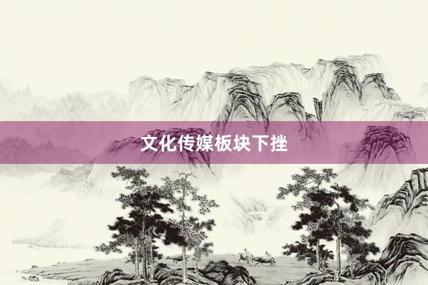 文化传媒板块下挫