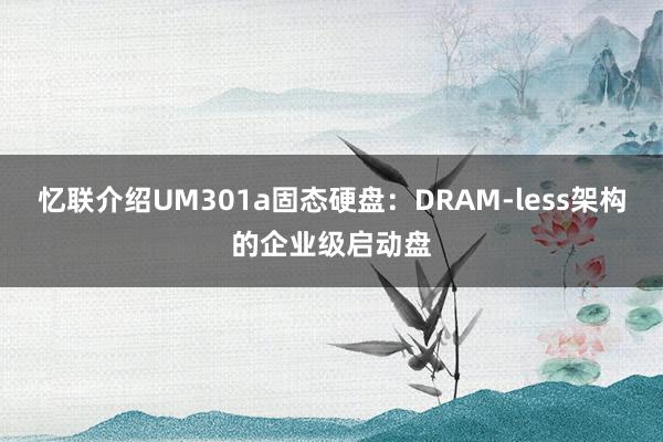 忆联介绍UM301a固态硬盘：DRAM-less架构的企业级启动盘