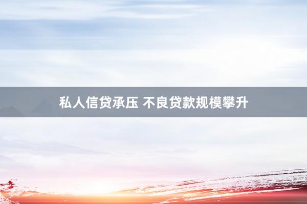 私人信贷承压 不良贷款规模攀升