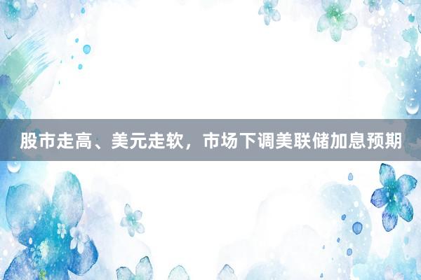 股市走高、美元走软，市场下调美联储加息预期