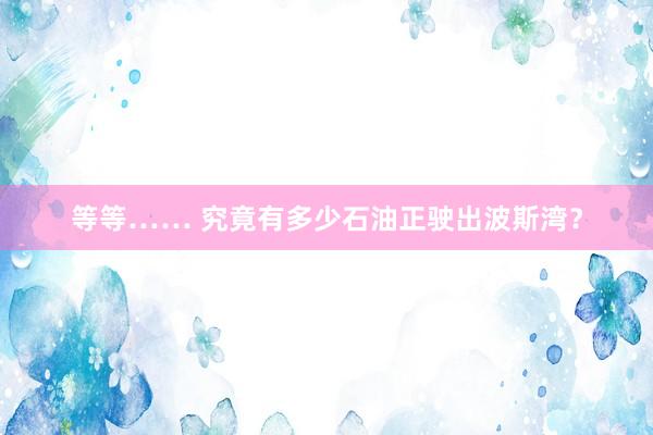 等等…… 究竟有多少石油正驶出波斯湾？