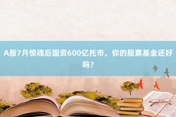 A股7月惊魂后国资600亿托市，你的股票基金还好吗？