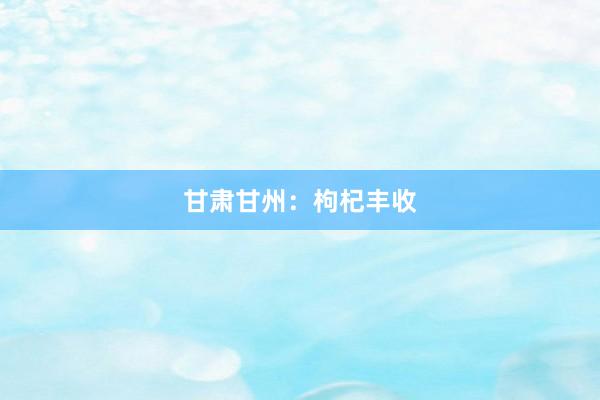 甘肃甘州：枸杞丰收