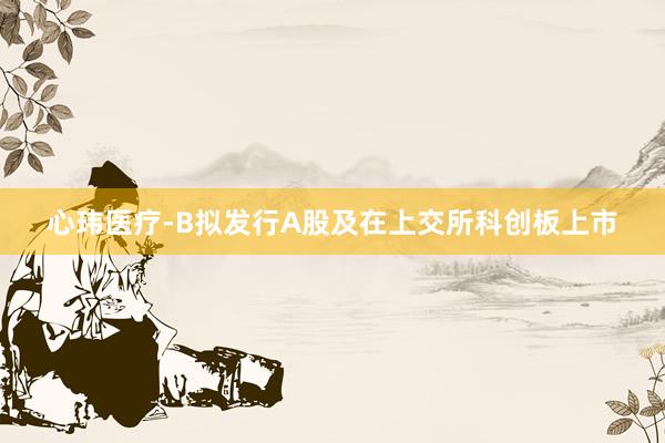 心玮医疗-B拟发行A股及在上交所科创板上市