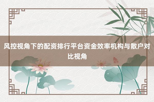 风控视角下的配资排行平台资金效率机构与散户对比视角