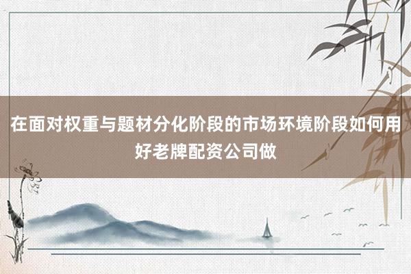 在面对权重与题材分化阶段的市场环境阶段如何用好老牌配资公司做