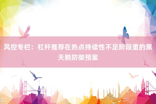 风控专栏：杠杆推荐在热点持续性不足阶段里的黑天鹅防御预案