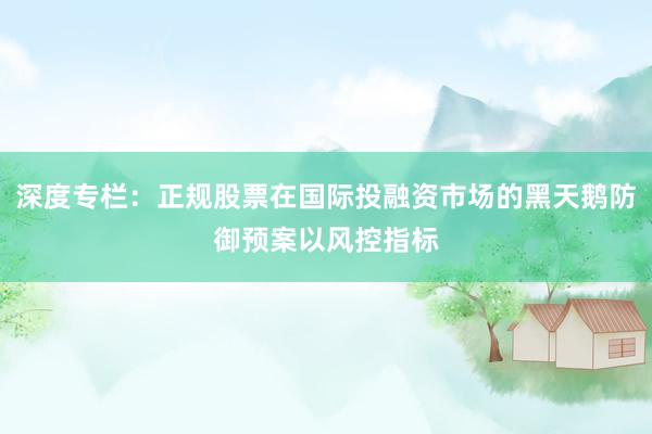 深度专栏：正规股票在国际投融资市场的黑天鹅防御预案以风控指标