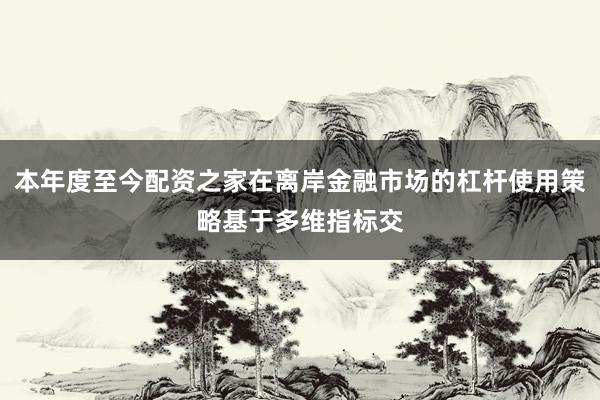 本年度至今配资之家在离岸金融市场的杠杆使用策略基于多维指标交