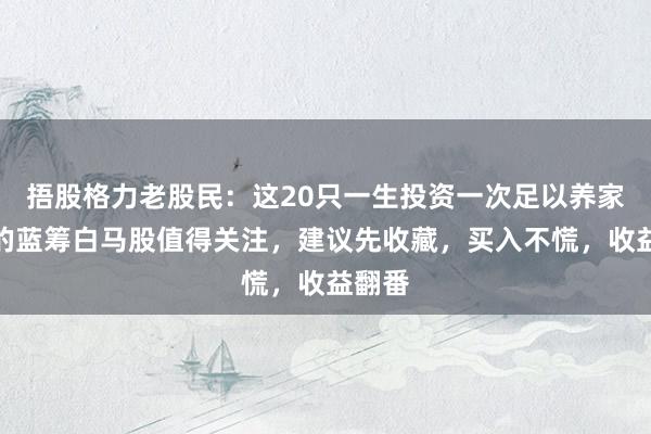 捂股格力老股民：这20只一生投资一次足以养家糊口的蓝筹白马股值得关注，建议先收藏，买入不慌，收益翻番