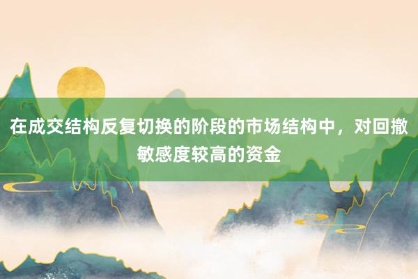 在成交结构反复切换的阶段的市场结构中，对回撤敏感度较高的资金