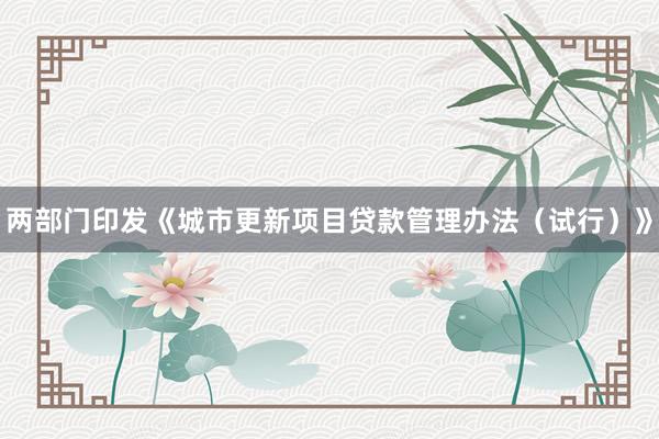 两部门印发《城市更新项目贷款管理办法（试行）》