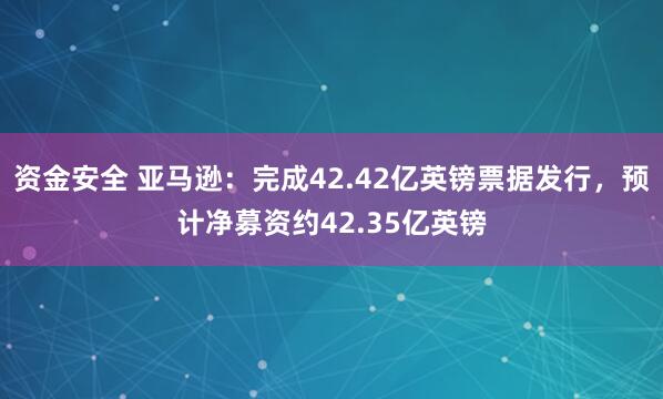 资金安全 亚马逊：完成42.42亿英镑票据发行，预计净募资约42.35亿英镑