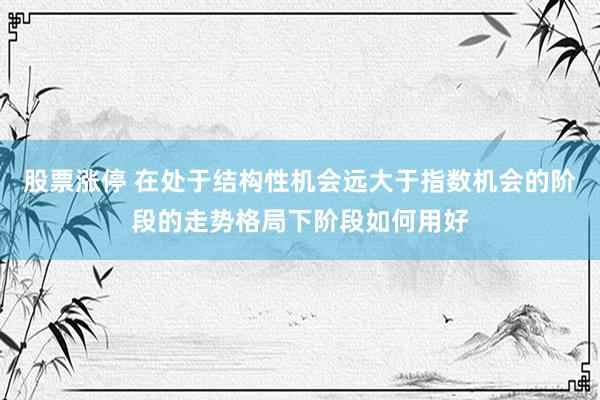 股票涨停 在处于结构性机会远大于指数机会的阶段的走势格局下阶段如何用好