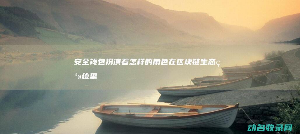 安全钱包扮演着怎样的角色 在区块链生态系统里 (安全的钱包)